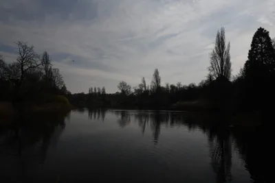 DSC_6884 (Large).JPG